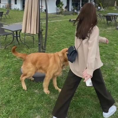 贝塔尼亚的回归